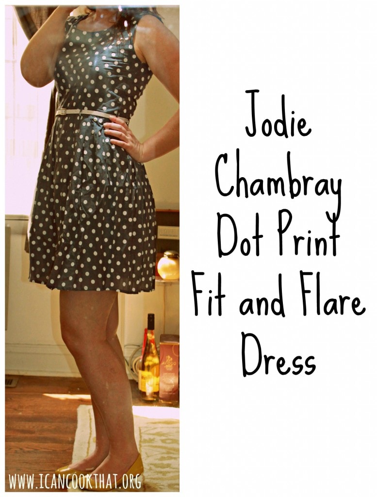 Jodie Chambray Dot Print Fit and Flare Dress