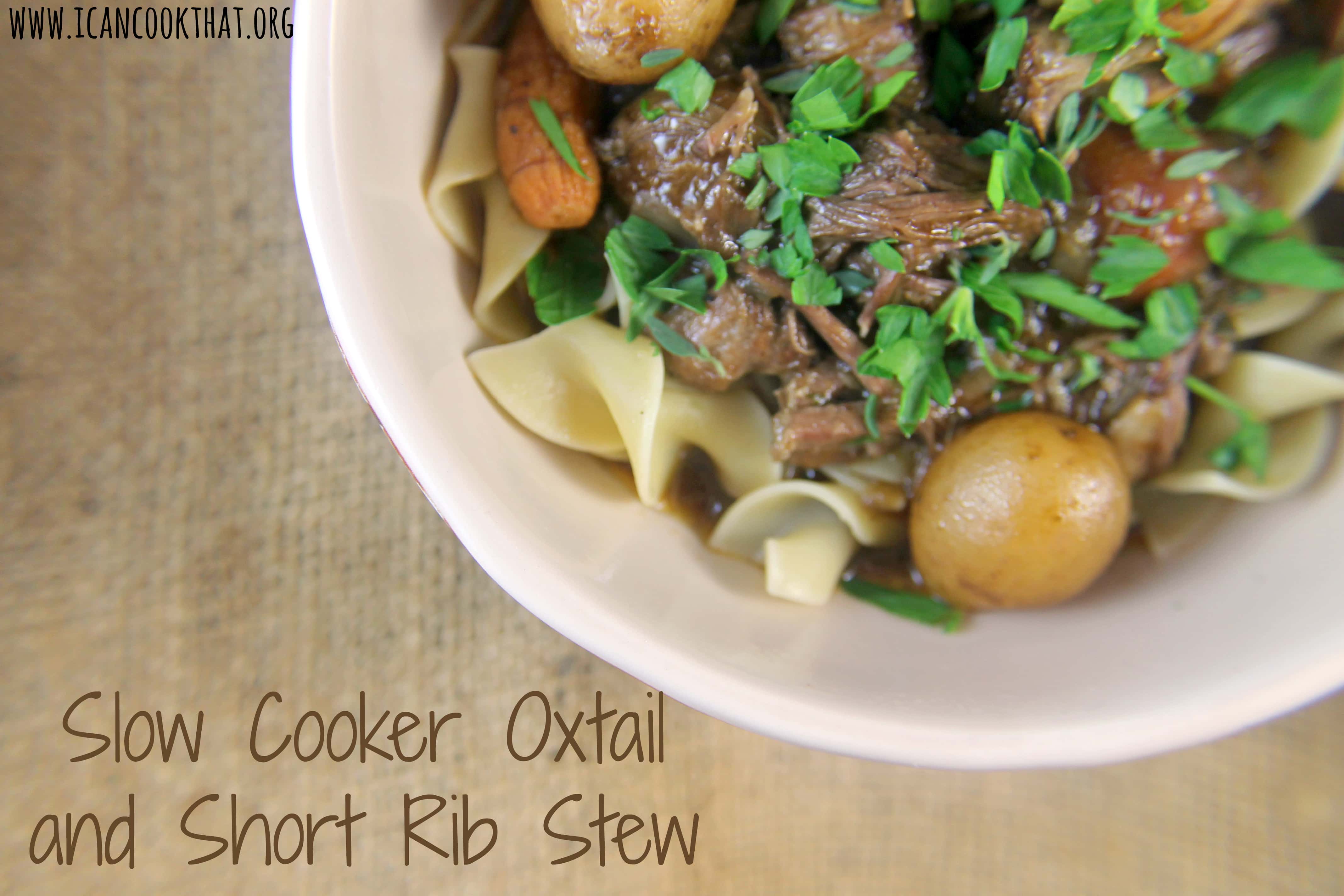 Slow Cooker Oxtail and Short Rib Stew