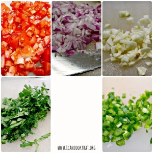 Fresh Salsa Ingredients
