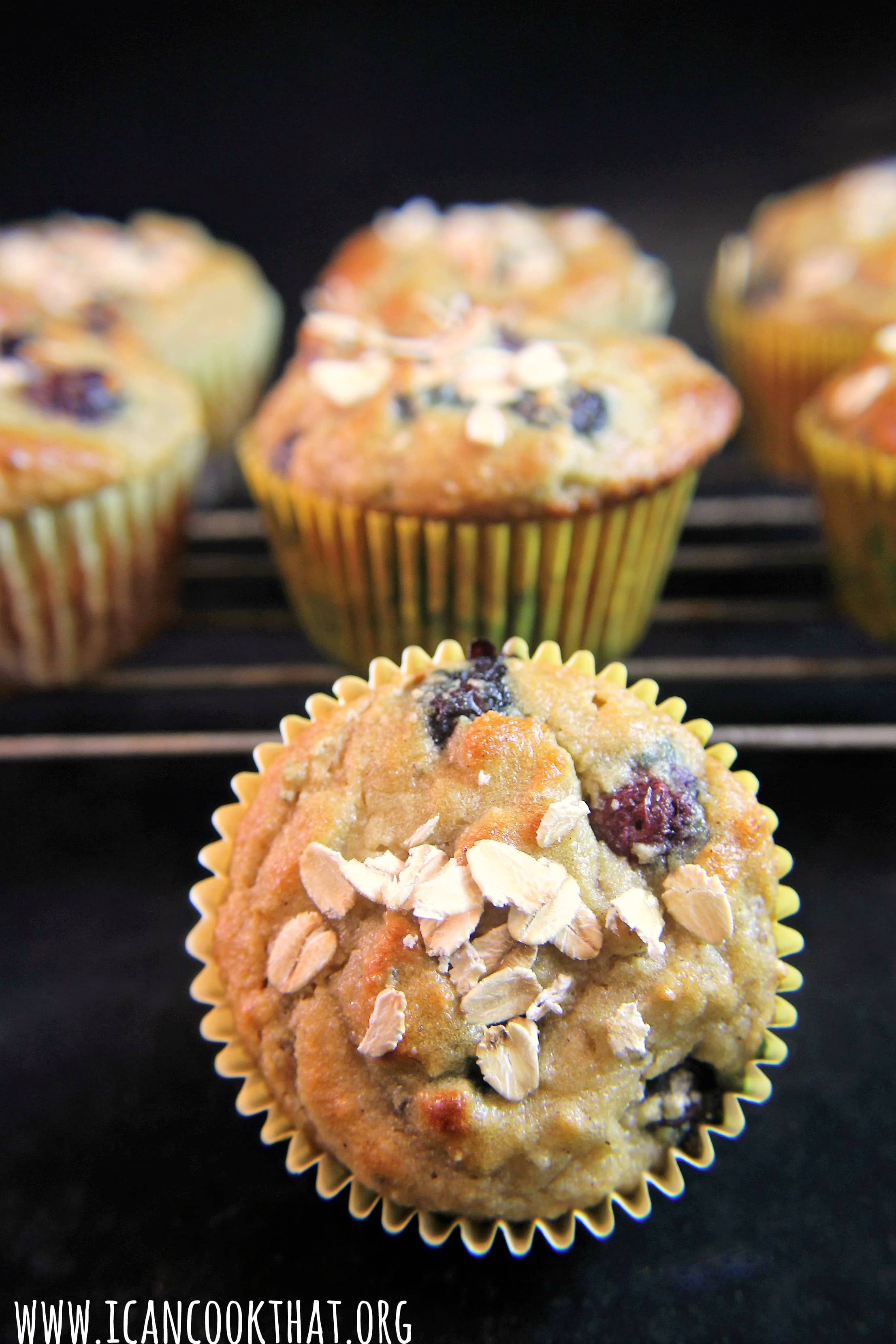 Blueberry Almond Flour Muffins